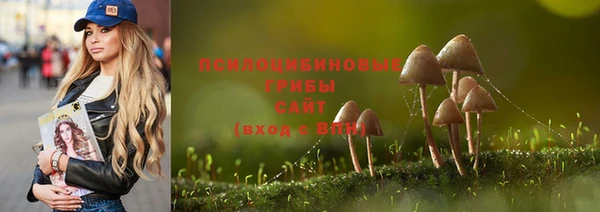 ПСИЛОЦИБИНОВЫЕ ГРИБЫ Алзамай